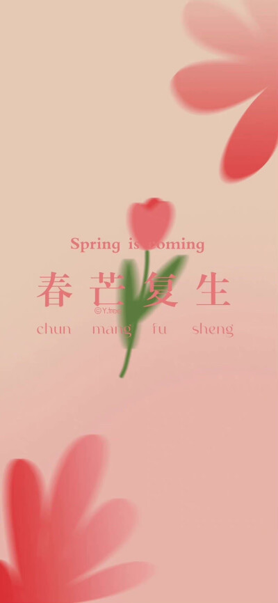 壁纸 简约 花