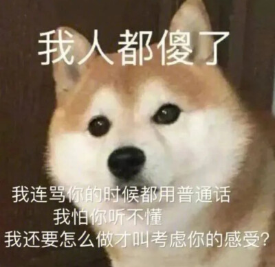 表情包