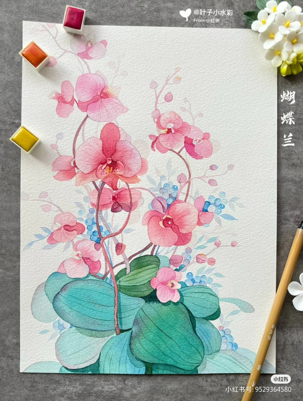 水彩花草