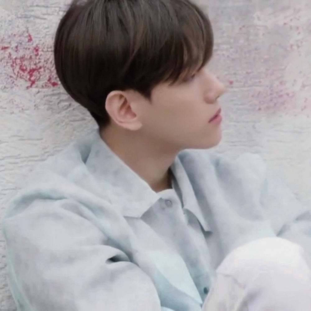 鸽子想飞我拦不住