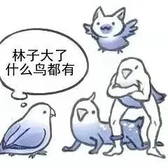 小蓝鸟表情包