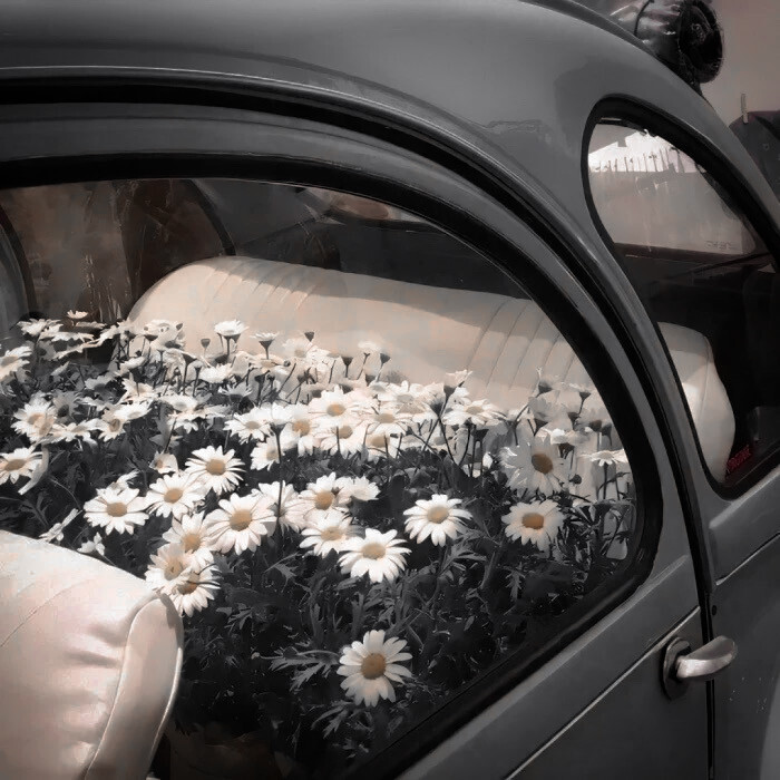  幸福就摆在你眼前 你却把那些阴影当成山川瀑布挡住视线 你说你无法幸福 亲爱的 你就是世界上最值得幸福的人