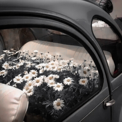  幸福就摆在你眼前 你却把那些阴影当成山川瀑布挡住视线 你说你无法幸福 亲爱的 你就是世界上最值得幸福的人