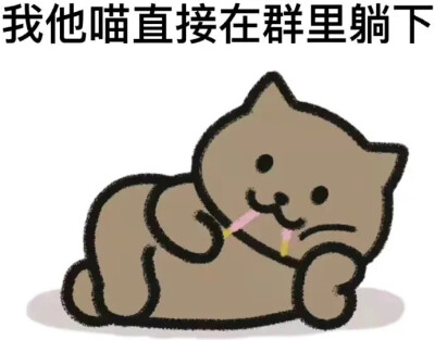 一猫人