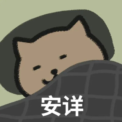 一猫人