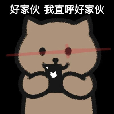 一猫人
