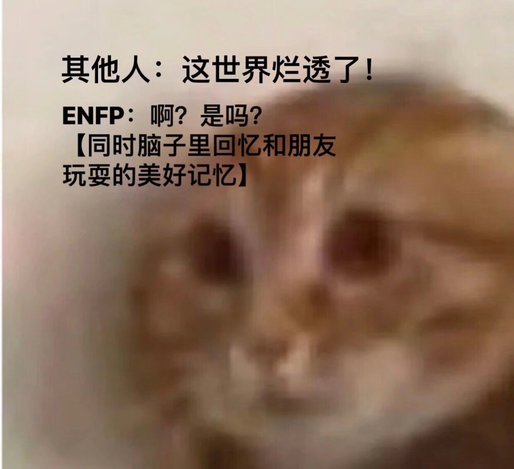 MBTI meme 梗图 ENFP
性格分析