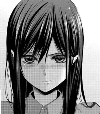 citrus - 高清图片，堆糖，美图壁纸兴趣社区