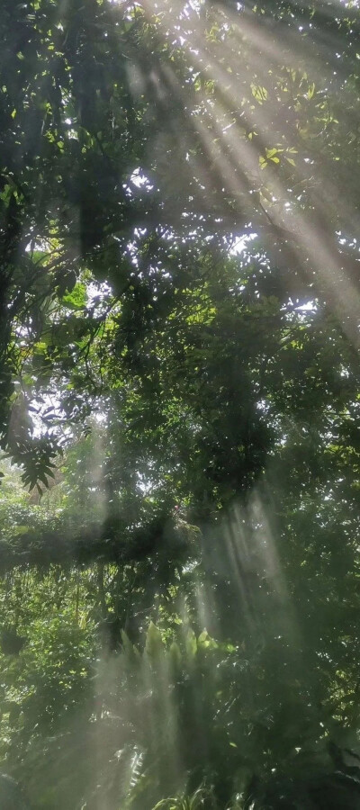 夏日，阳光，沙滩！！！