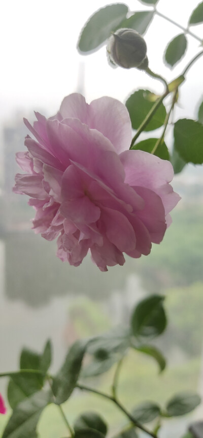 期待你们未来的样子。