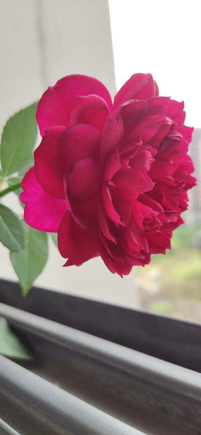期待你们未来的样子。