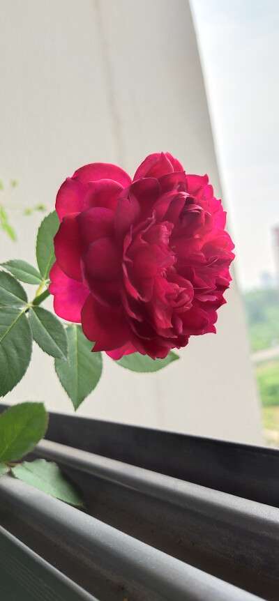 期待你们未来的样子。