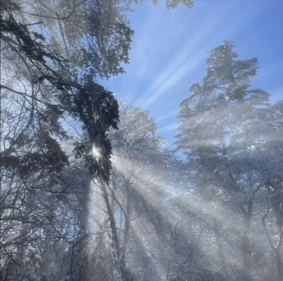 来自快手
想要私藏的背景图