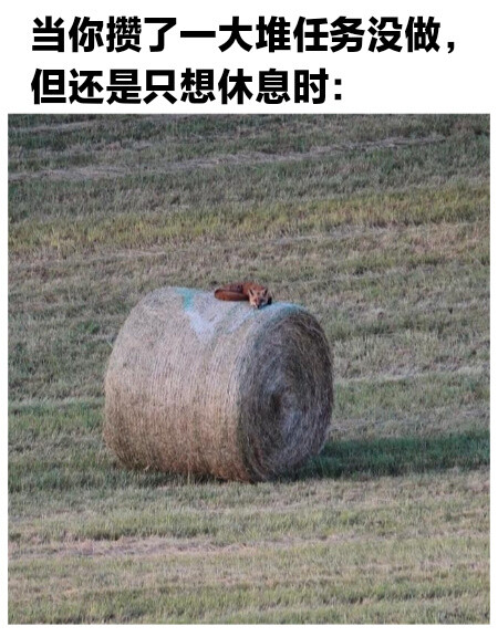 一些怪图