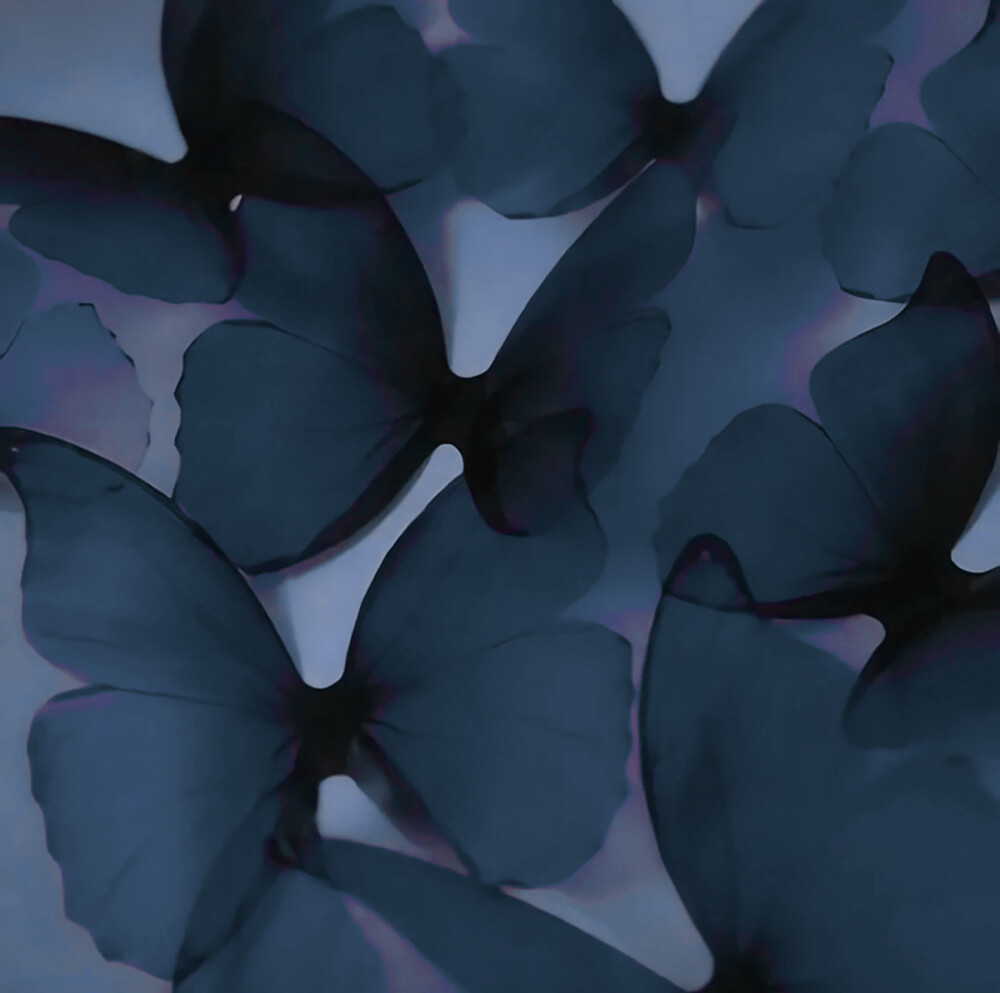 姜艺书
原@温塘