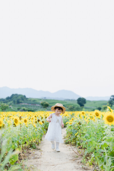 一眼好心情
摄影：洪小漩
出镜：菲比及家人
很小时候，我妈妈就曾种过一小片向日葵。
我太小，不知道那是自家的土地，放学后疯野到地里，站在巨大的花序下面，仰着头看着比我脸蛋子还大的一盘葵花籽，心想，什么…