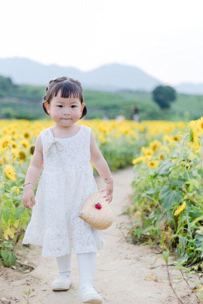 一眼好心情
摄影：洪小漩
出镜：菲比及家人
很小时候，我妈妈就曾种过一小片向日葵。
我太小，不知道那是自家的土地，放学后疯野到地里，站在巨大的花序下面，仰着头看着比我脸蛋子还大的一盘葵花籽，心想，什么…