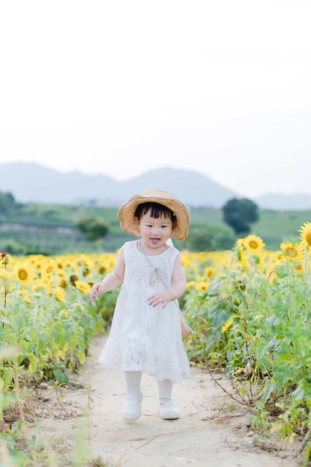 一眼好心情
摄影：洪小漩
出镜：菲比及家人
很小时候，我妈妈就曾种过一小片向日葵。
我太小，不知道那是自家的土地，放学后疯野到地里，站在巨大的花序下面，仰着头看着比我脸蛋子还大的一盘葵花籽，心想，什么时候可以吃。
后来，我将发现一片向日葵的事回家说与妈妈听，当她笑着告诉我那是她栽种的时，一股子莫名的骄傲在我心里油然而生。长大些，我才知道那是独属于我妈的浪漫。毕竟，只有她在自留地里栽种了一片明媚，耕种的人来来往往，都忍不住看两眼。
自此，我对向日葵有了执念。只可惜，我没有一片地像我妈那样可以自由栽种。
当得知杭州转塘有一片向日葵时，我便蓄谋，不论如何要带着菲比去看看。很幸运，成行了