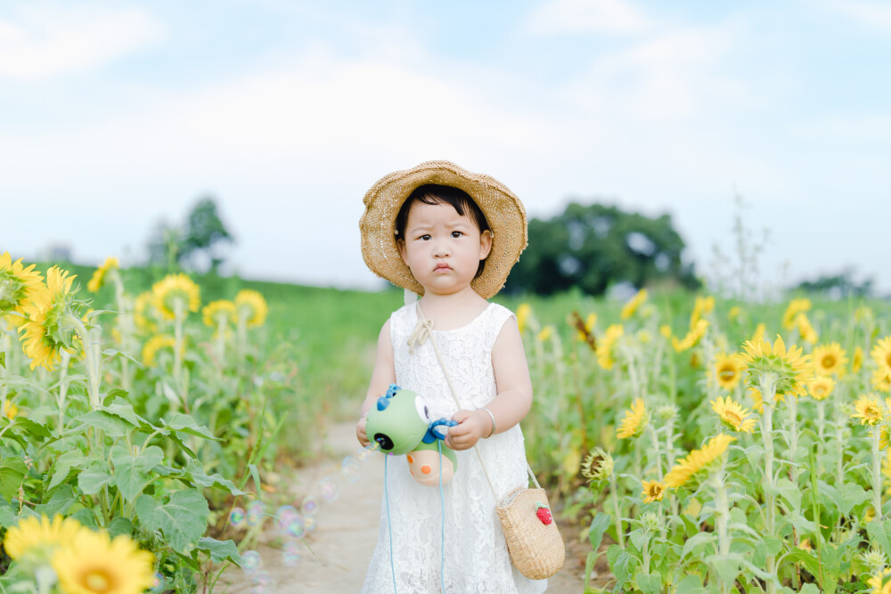 一眼好心情
摄影：洪小漩
出镜：菲比及家人
很小时候，我妈妈就曾种过一小片向日葵。
我太小，不知道那是自家的土地，放学后疯野到地里，站在巨大的花序下面，仰着头看着比我脸蛋子还大的一盘葵花籽，心想，什么时候可以吃。
后来，我将发现一片向日葵的事回家说与妈妈听，当她笑着告诉我那是她栽种的时，一股子莫名的骄傲在我心里油然而生。长大些，我才知道那是独属于我妈的浪漫。毕竟，只有她在自留地里栽种了一片明媚，耕种的人来来往往，都忍不住看两眼。
自此，我对向日葵有了执念。只可惜，我没有一片地像我妈那样可以自由栽种。
当得知杭州转塘有一片向日葵时，我便蓄谋，不论如何要带着菲比去看看。很幸运，成行了