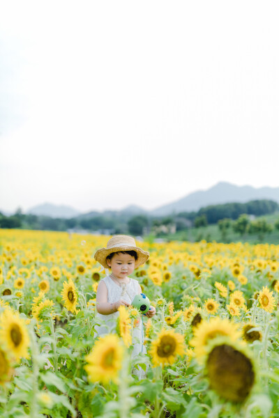 一眼好心情
摄影：洪小漩
出镜：菲比及家人
很小时候，我妈妈就曾种过一小片向日葵。
我太小，不知道那是自家的土地，放学后疯野到地里，站在巨大的花序下面，仰着头看着比我脸蛋子还大的一盘葵花籽，心想，什么…