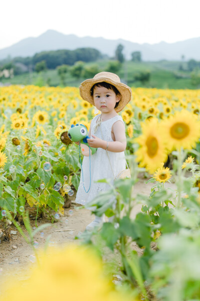 一眼好心情
摄影：洪小漩
出镜：菲比及家人
很小时候，我妈妈就曾种过一小片向日葵。
我太小，不知道那是自家的土地，放学后疯野到地里，站在巨大的花序下面，仰着头看着比我脸蛋子还大的一盘葵花籽，心想，什么…