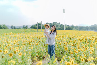 一眼好心情
摄影：洪小漩
出镜：菲比及家人
很小时候，我妈妈就曾种过一小片向日葵。
我太小，不知道那是自家的土地，放学后疯野到地里，站在巨大的花序下面，仰着头看着比我脸蛋子还大的一盘葵花籽，心想，什么…