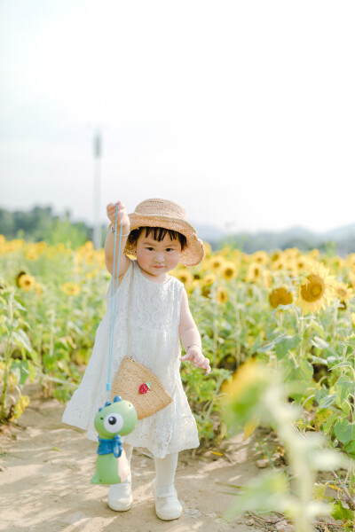 一眼好心情
摄影：洪小漩
出镜：菲比及家人
很小时候，我妈妈就曾种过一小片向日葵。
我太小，不知道那是自家的土地，放学后疯野到地里，站在巨大的花序下面，仰着头看着比我脸蛋子还大的一盘葵花籽，心想，什么…