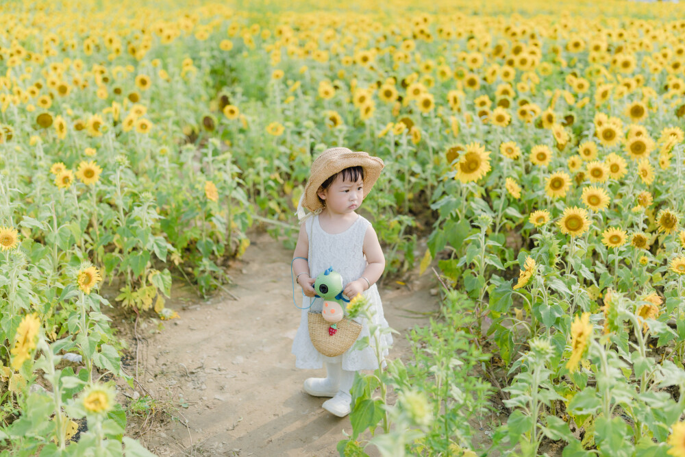 一眼好心情
摄影：洪小漩
出镜：菲比及家人
很小时候，我妈妈就曾种过一小片向日葵。
我太小，不知道那是自家的土地，放学后疯野到地里，站在巨大的花序下面，仰着头看着比我脸蛋子还大的一盘葵花籽，心想，什么时候可以吃。
后来，我将发现一片向日葵的事回家说与妈妈听，当她笑着告诉我那是她栽种的时，一股子莫名的骄傲在我心里油然而生。长大些，我才知道那是独属于我妈的浪漫。毕竟，只有她在自留地里栽种了一片明媚，耕种的人来来往往，都忍不住看两眼。
自此，我对向日葵有了执念。只可惜，我没有一片地像我妈那样可以自由栽种。
当得知杭州转塘有一片向日葵时，我便蓄谋，不论如何要带着菲比去看看。很幸运，成行了