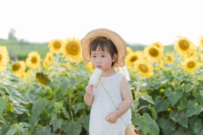 一眼好心情
摄影：洪小漩
出镜：菲比及家人
很小时候，我妈妈就曾种过一小片向日葵。
我太小，不知道那是自家的土地，放学后疯野到地里，站在巨大的花序下面，仰着头看着比我脸蛋子还大的一盘葵花籽，心想，什么…