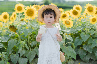 一眼好心情
摄影：洪小漩
出镜：菲比及家人
很小时候，我妈妈就曾种过一小片向日葵。
我太小，不知道那是自家的土地，放学后疯野到地里，站在巨大的花序下面，仰着头看着比我脸蛋子还大的一盘葵花籽，心想，什么…