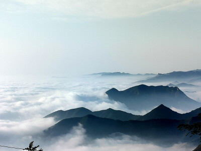 山景