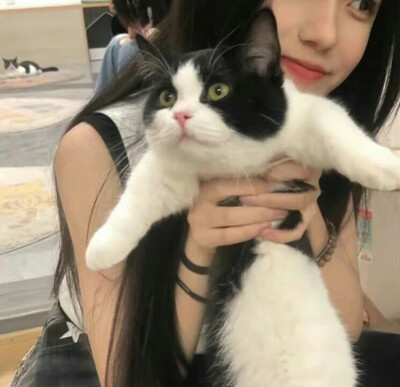 一直爱我吧 像圆周率那样没有尽头.