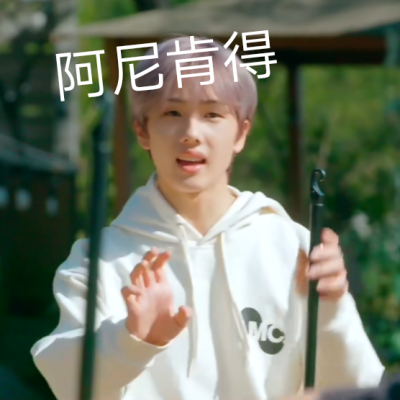 NCTDREAM表情包