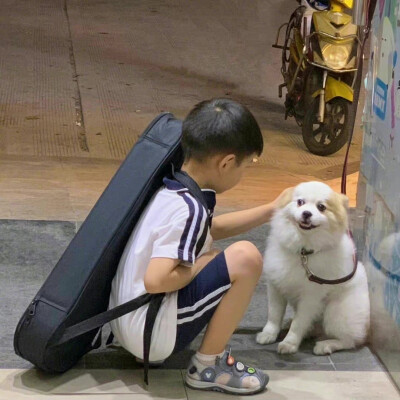 可爱情侣头像，萌娃，修狗