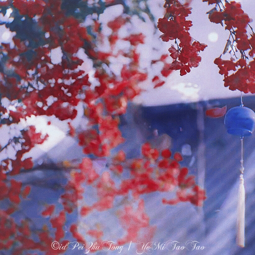 月遇从云 花遇和风