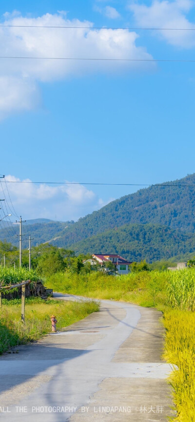 清新 山 旅游