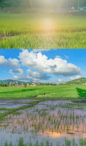 清新 山 旅游 风景