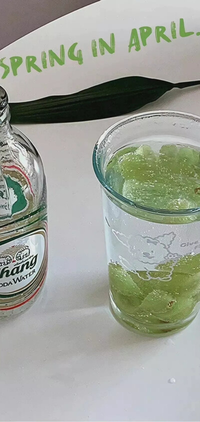 夏日 清凉壁纸 绿色系 冰块
图源>言橘