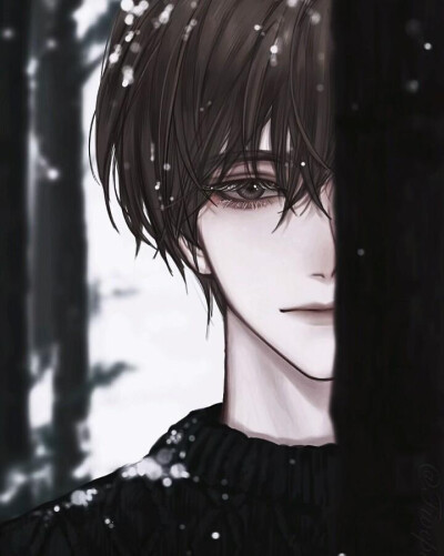 动漫男头
——洛非玉