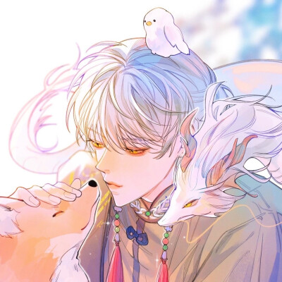 动漫男头
——洛非玉