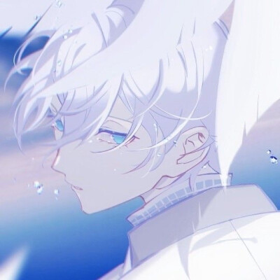 动漫男头
——洛非玉