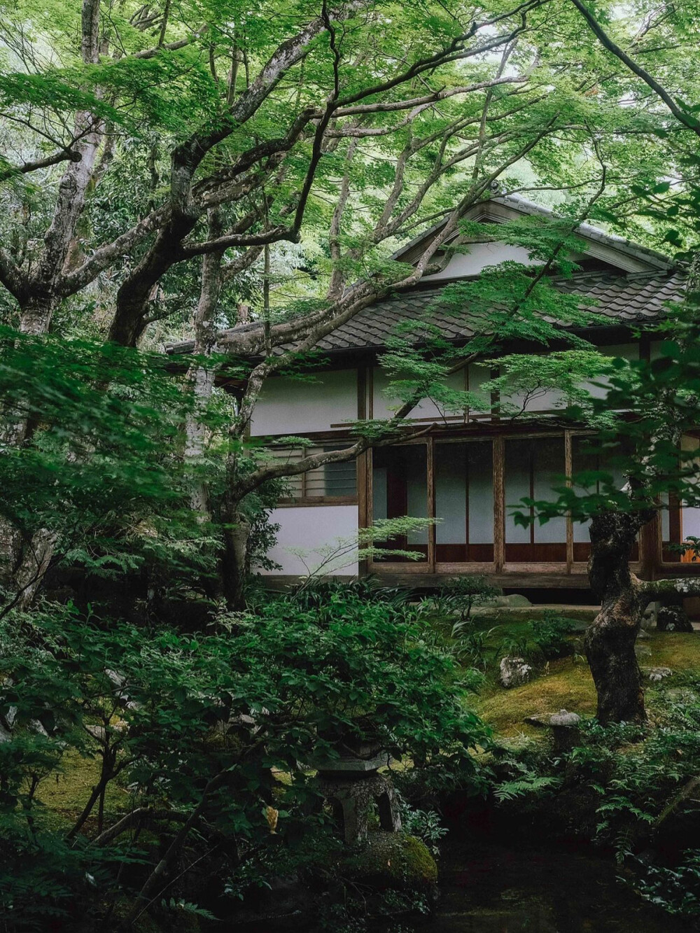 只有日本_京都常寂光寺