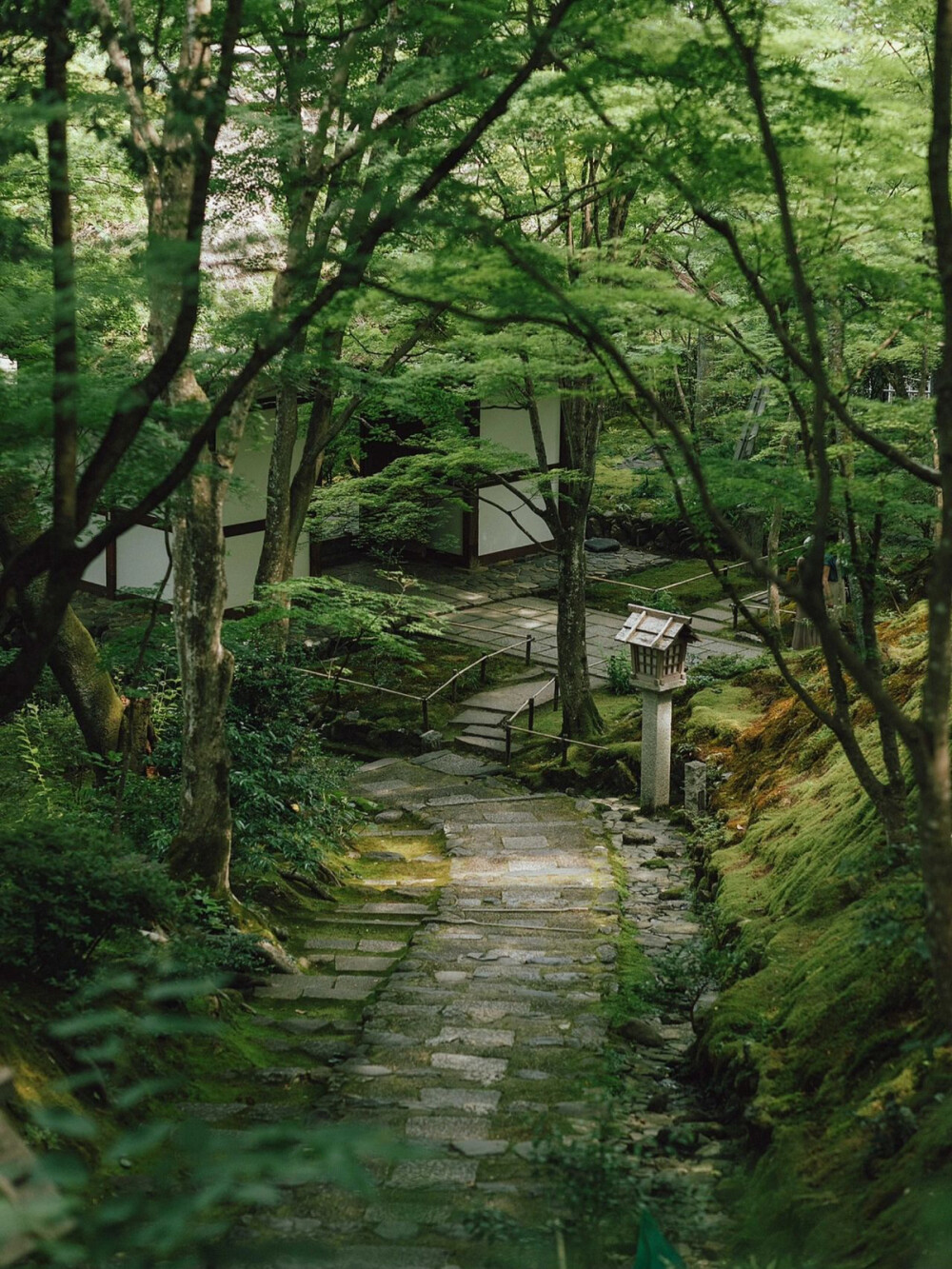 只有日本_京都常寂光寺