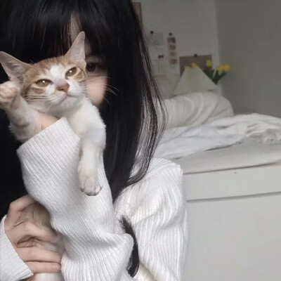 抱猫女头