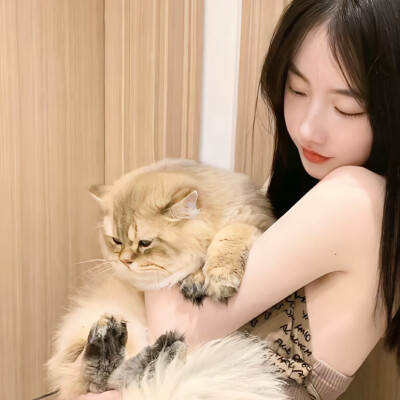 抱猫女头