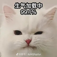 修猫