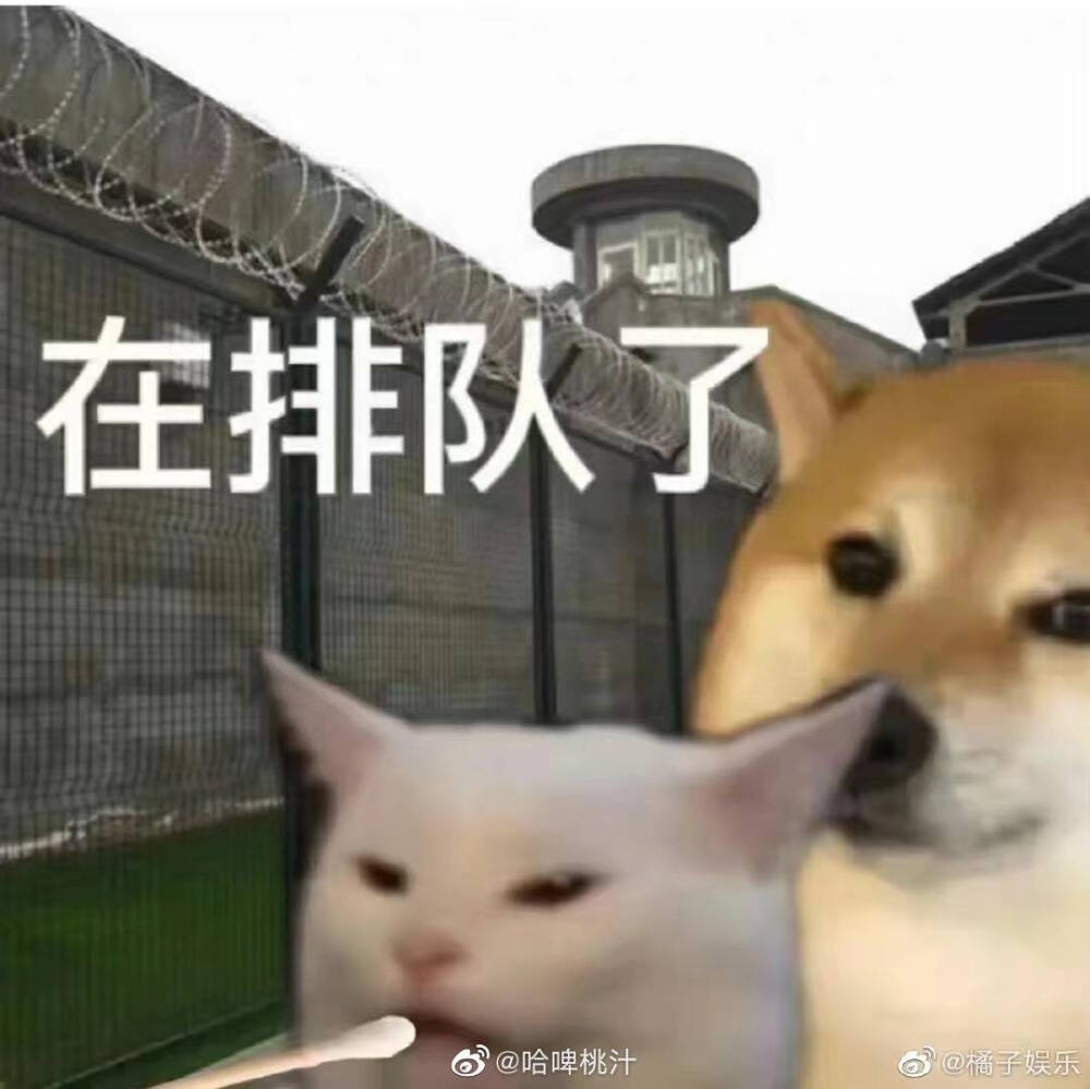 沙雕表情包