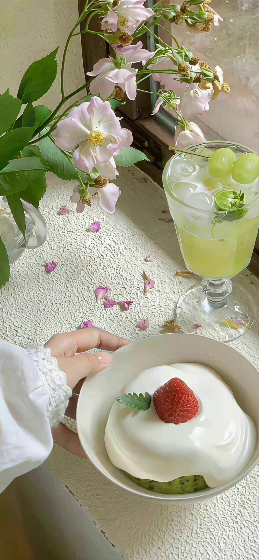 壁紙·花朵
風(fēng)景/冰塊/涼爽/護眼/花朵/夏天/海邊