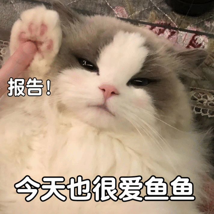 禁止二改