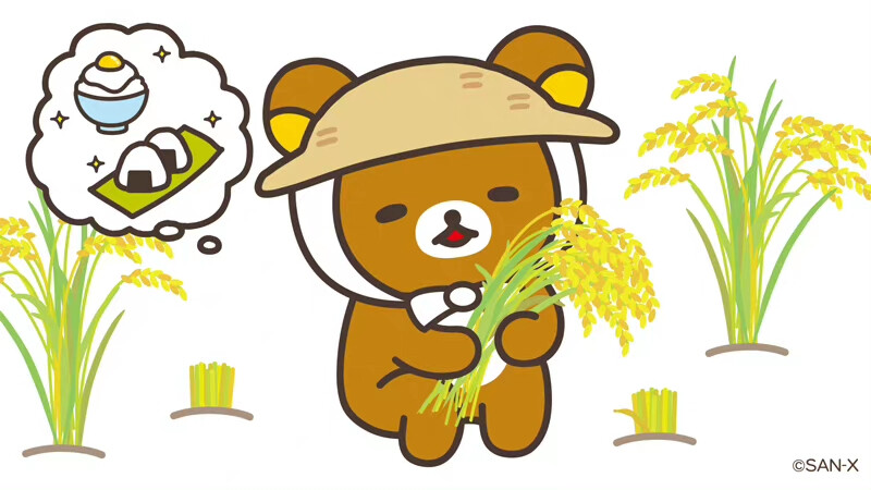 轻松熊的日常
